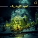 اسیدکلریدریک